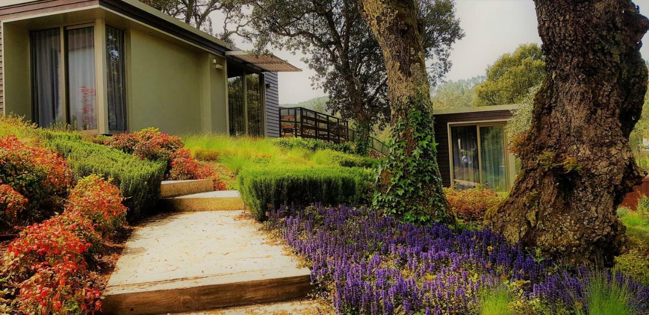 Villa com 1 Quarto e Acesso ao Spa